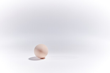 egg on white background