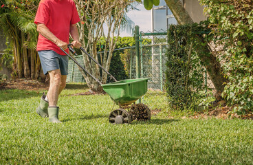 Man fertilizing and seeding residential lawn with manual grass seed spreader.