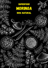 Moringa hand drawn sketch. Organic healthy food. Moringa leaves, plant, powder, seed. Super food hand drawn sketch. Vector illustration.
