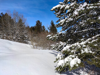 Winter view of Vitosha Mountain, Bulgaria