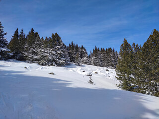Winter view of Vitosha Mountain, Bulgaria