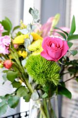 colorful assorted flowers