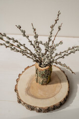 spring easter pussy willow catkins twigs in a natural wood log vase  © Lumistudio