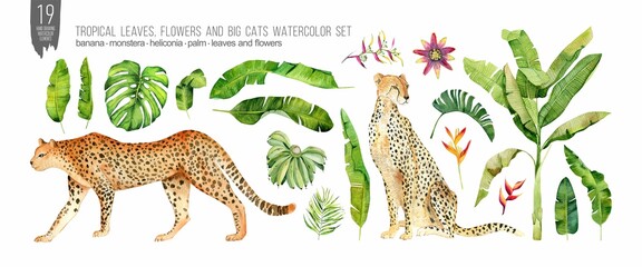 Watercolor cats, tropical leaves and flowers set. Colorfull set for design textile, wallpapers, prints and banners.
