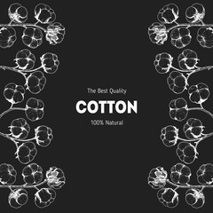 Cotton hand drawn sketch. Vintage vector illustration. Design template. Drawn with ink. Engraving style. Cotton illustration.