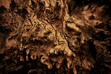 Abstract tree texture
