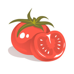 Hand drawn illustration of red appetizing tomato vegetables on white background. Healthy eating. Vector isolated object