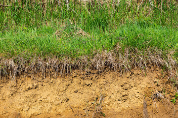 Grass by the ravine on clay ground for design