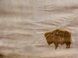  Bizon sign on indian teepee tent,with textile texture © Andrei