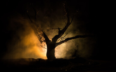 Spooky dark landscape showing silhouettes of trees in the swamp on misty night. Night mysterious...