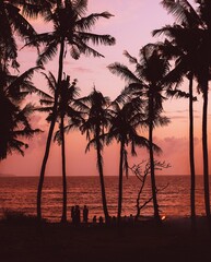 Fototapeta premium sunset on the beach