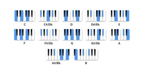 Vector realistic isolated piano Major chords for musical education on the white background.