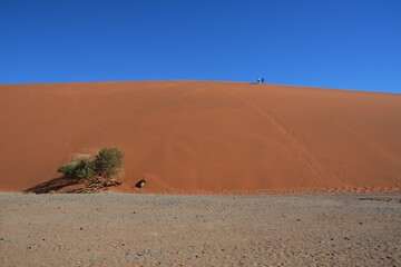 Fototapeta na wymiar Landschaft in der Nähe der Düne 45 auf dem Weg zum Sossusvlei im Namib-Naukluft Nationalpark (Namibia). 