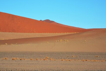 Fototapeta na wymiar Landschaft in der Nähe der Düne 45 auf dem Weg zum Sossusvlei im Namib-Naukluft Nationalpark (Namibia). 