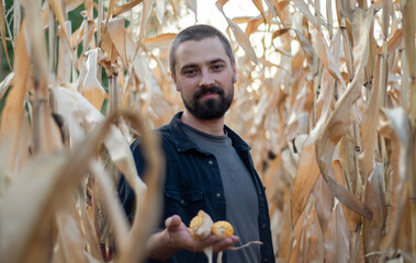 Portrait of a bearded Caucasian farmer holding corn in his hands. Agricultural farm field. Harvest season. The man smiles.