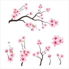 Obraz na płótnie Canvas branch tree vector illustration summer clipart autumn clipart nature forest, Background cherry blossom spring flower Japan, Branch of blooming sakura with flowers, cherry blossom