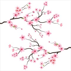 branch tree vector illustration summer clipart autumn clipart nature forest, Background cherry blossom spring flower Japan,  Branch of blooming sakura with flowers, cherry blossom © Iftikhar alam