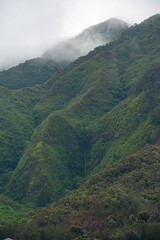 Fototapeta premium West Maui Mountain, Mauna Kahalawai, Mountain Ridge, Valley Isle, Hawaii