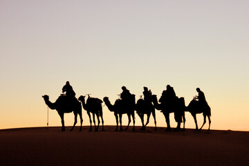 Fototapeta na wymiar camels in the desert
