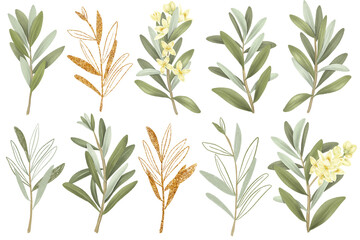 Fototapeta premium Collection of hand drawn green and golden olive branches, isolated illustrations on white background
