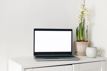 Spring home office still life composition. Laptop mockup, blank computer screen. Yellow daffodils in flower pot. Cup of coffee on wooden cupboard, table. White wall background. Scandinavian interior.