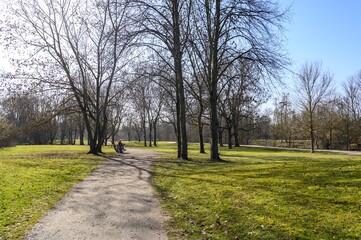 Spring in Frankfurt am Main, Hesse, Germany, corona time. Flowers violet  crocuses, crocus,  white snowdrops on green grass in Park by the Nidda river.