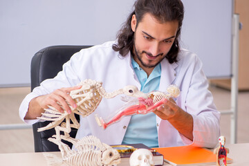 Young male zoologist examining bird skeleton