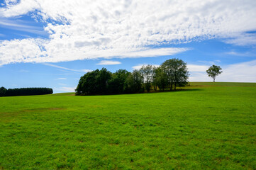 Green meadows in French Prealps, nature background