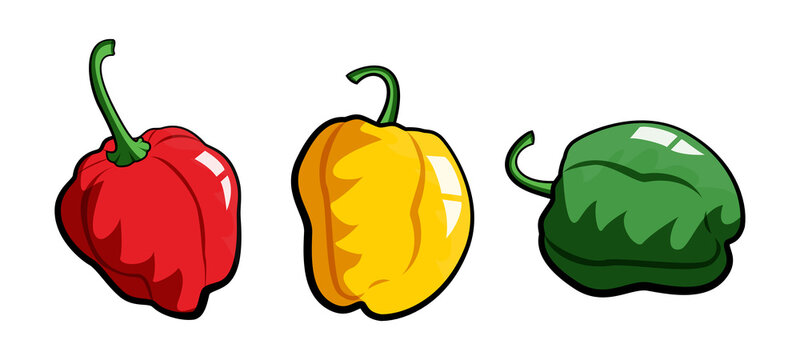Scotch Bonnet Images – Browse 2,063 Stock Photos, Vectors, and Video |  Adobe Stock