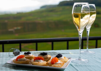 Tasting and pairing of french champagne wine with pancakes, creme fresh, red and black fish caviar and view on green vineyards of Champagne near Epernay on background