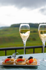 Tasting and pairing of french champagne wine with pancakes, creme fresh, red and black fish caviar and view on green vineyards of Champagne near Epernay on background