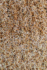 Close up of wheat germ background. Source of vitamins and micronutrients, concept of superfood, healthy eating, veganism. Vertically photo.