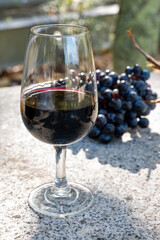 Tasting of Portuguese fortified port wine, produced in Douro Valley in autumn, Portugal
