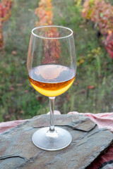 Glass of Portuguese white dry wine, produced in Douro Valley and old terraced vineyards on background in autumn, wine region of Portugal