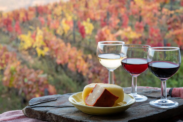 Taste of Portugal, fortified port wines and goat and sheep cheeses produced in Douro Valley with colorful terraced vineyards on background in autumn, Portugal