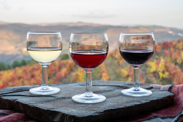 Tasting of Portuguese fortified port wines  produced in Douro Valley with colorful terraced vineyards on background in autumn, Portugal