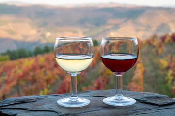 Tasting of Portuguese fortified port wines  produced in Douro Valley with colorful terraced vineyards on background in autumn, Portugal