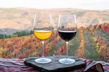 Glasses of Portuguese red dry and white sweet wine, produced in Douro Valley and old terraced vineyards on background in autumn, wine region of Portugal
