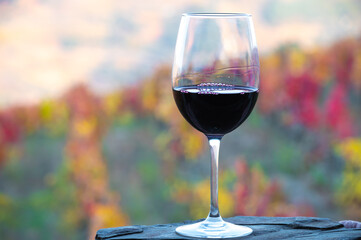 Glass of Portuguese red dry wine, produced in Douro Valley and old terraced vineyards on background in autumn, wine region of Portugal