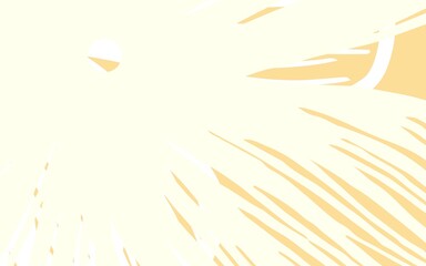 Light Orange vector natural backdrop with flowers