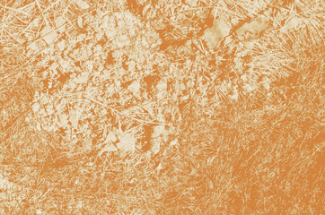 abstract pale brown and white colors background for design