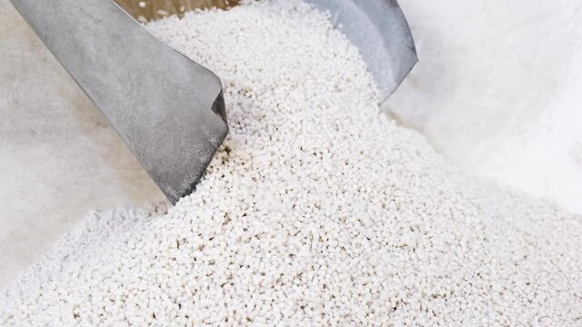 White secondary processing plastic granule comes out of the granulator crusher into small granules. Concept of plastic recycling, production of secondary raw materials. White Plastic pellets crumbles