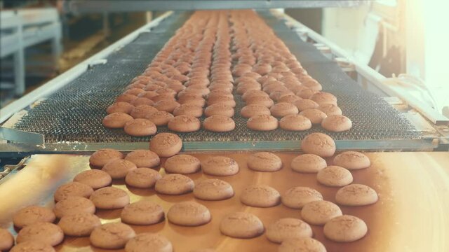 Industrial food factory or bakery, cookies on automated production line or conveyor belt, confectionery plant or bakehouse.