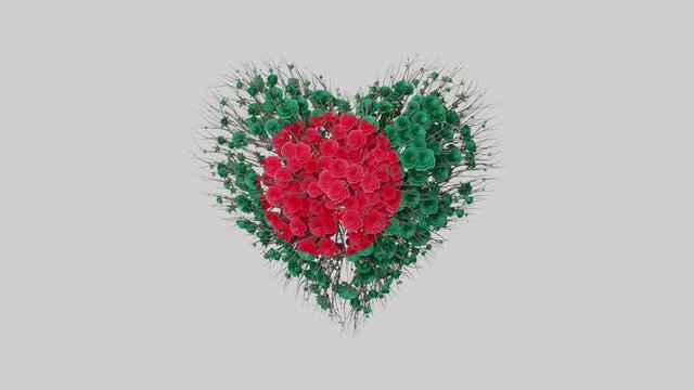 Bangladesh National Day. Independence Day. Heart animation with alpha matte. Flowers forming heart shape. 3D rendering.