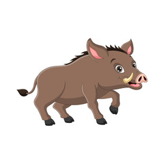 Wild boar cartoon on white background