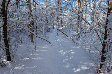 Spectacular winter landscape in Quebec, Canada