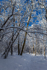 Spectacular winter landscape in Quebec, Canada
