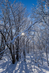 Spectacular winter landscape in Quebec, Canada
