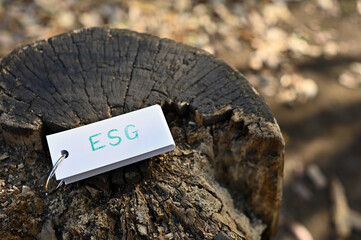 There is a word book ESG written on it. It was an abbreviation for Environment, Social,...