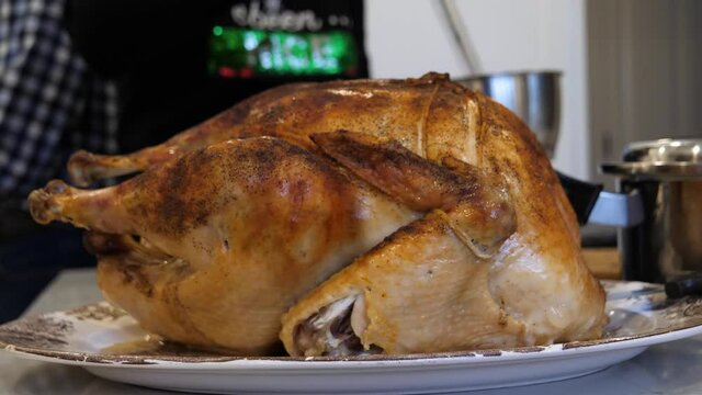 Browned Turkey, Holiday Dinner Meal Preparation, Baster in Background